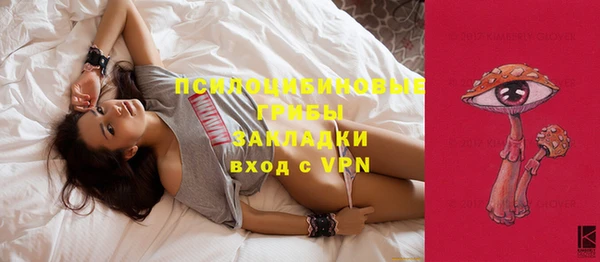 шишки Бородино