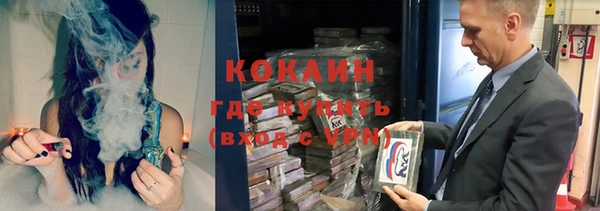 шишки Бородино