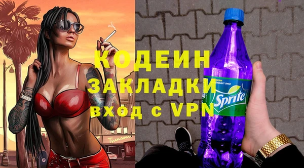 шишки Бородино