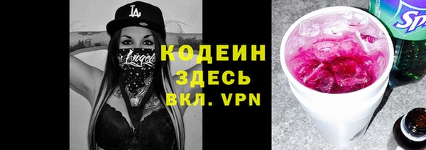шишки Бородино
