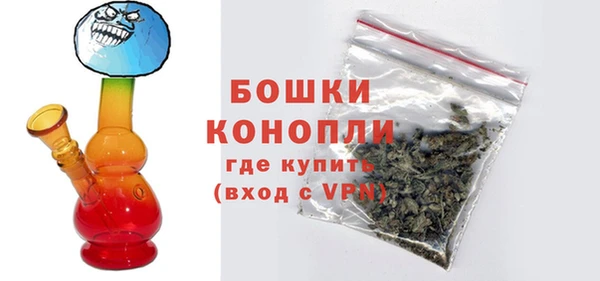 шишки Бородино