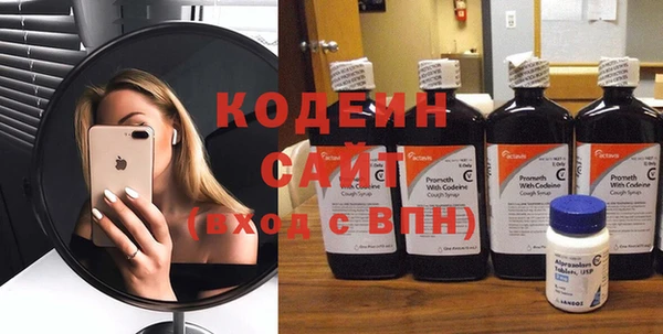 шишки Бородино